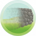 Illusion.png