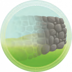 Illusion.png