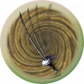 Fencing.png